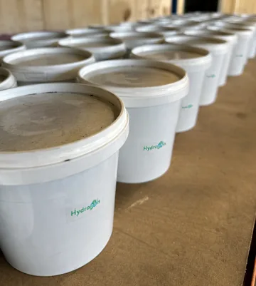 Rows of white Hydrophis-labelled sample pots filled with pale grey material.