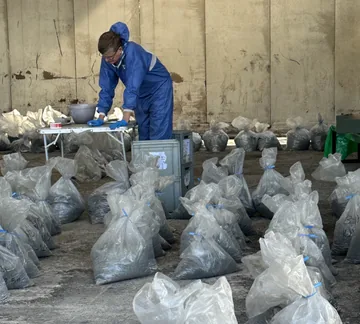 A team member preparing samples at a workbench surrounded by labelled bags.