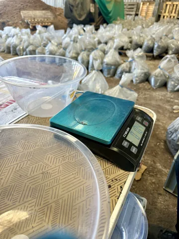 Sampling containers and a digital balance in the preparation workspace.